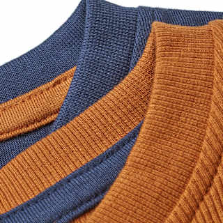 Langarmshirts, blau + braun, Gr. 104 ALANA