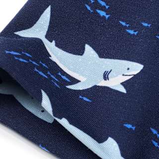 Mütze Pro Climate mit Hai-Muster, blau, Gr. 46/47 ALANA
