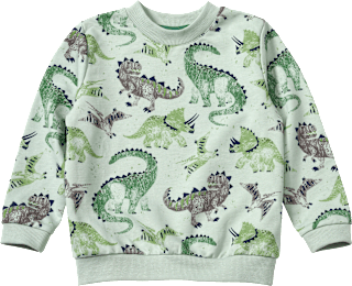 Sweatshirt mit Dino-Muster, grün, Gr. 104 ALANA