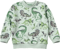 Sweatshirt mit Dino-Muster, grün, Gr. 104 ALANA