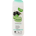 Körperlotion Olive Aloe Vera alverde NATURKOSMETIK