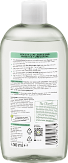 Mundspülung Melisse alverde NATURKOSMETIK