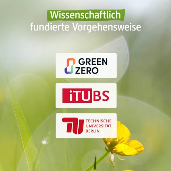 Pflegedusche Minze Bergamotte Nachfüllpack alverde NATURKOSMETIK