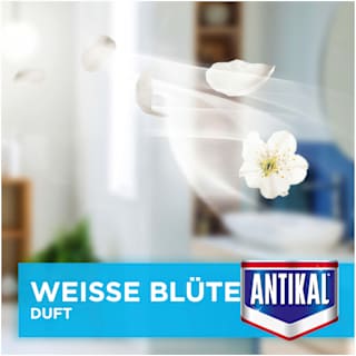 Kalkreiniger Dusche Express Antikal