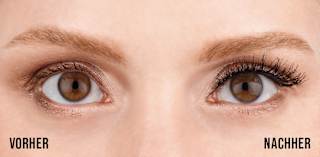 Künstliche Wimpern Natural 120 Demi Black (1 Paar) ARDELL