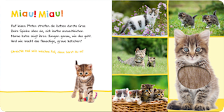 Babybuch Hör mal rein, wer kann das sein? - Lieblingstiere Ars Edition