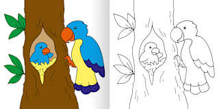 Bunte Tierwelt Malbuch Ars Edition