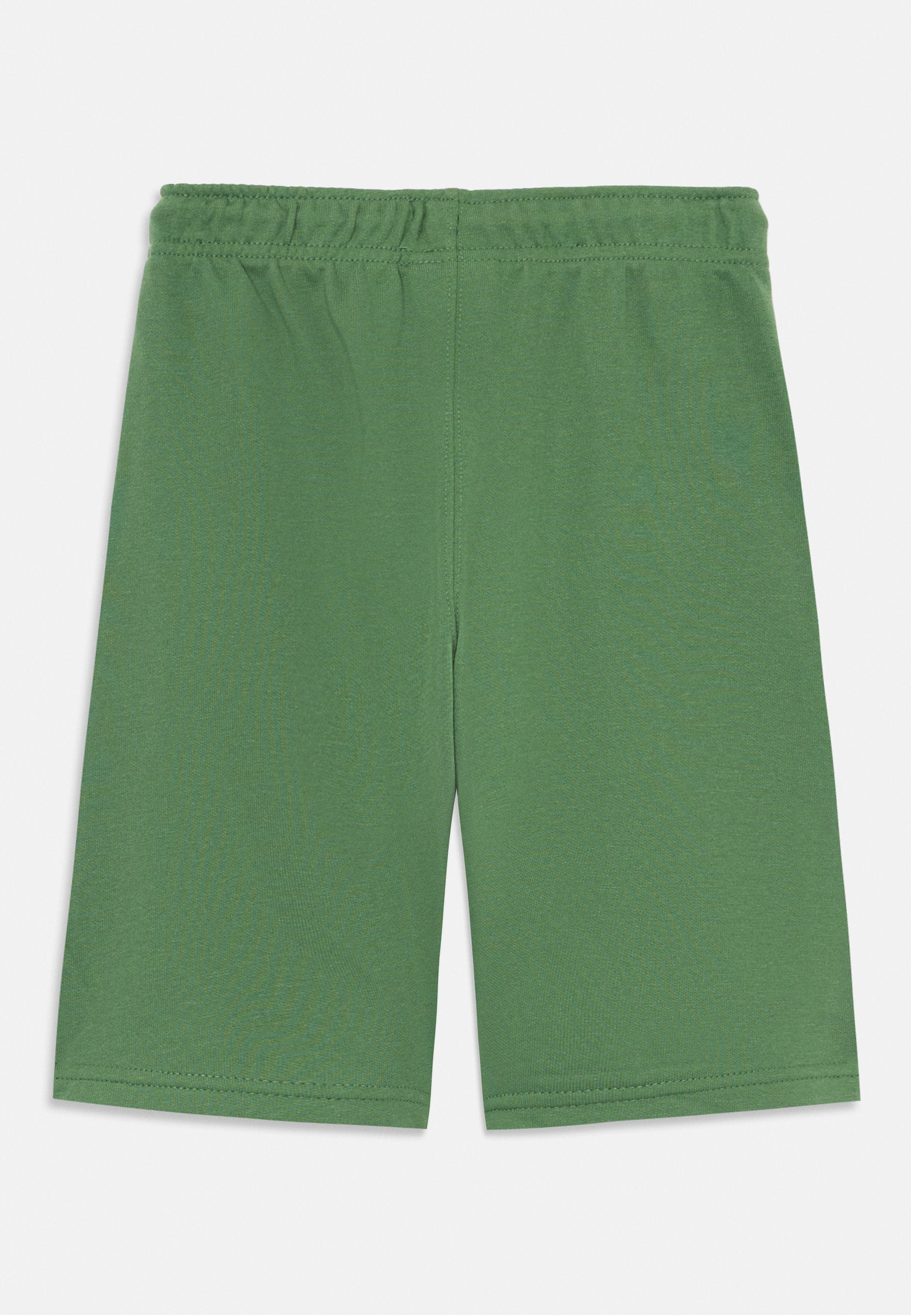Champion BASICS