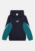 Puma ESS