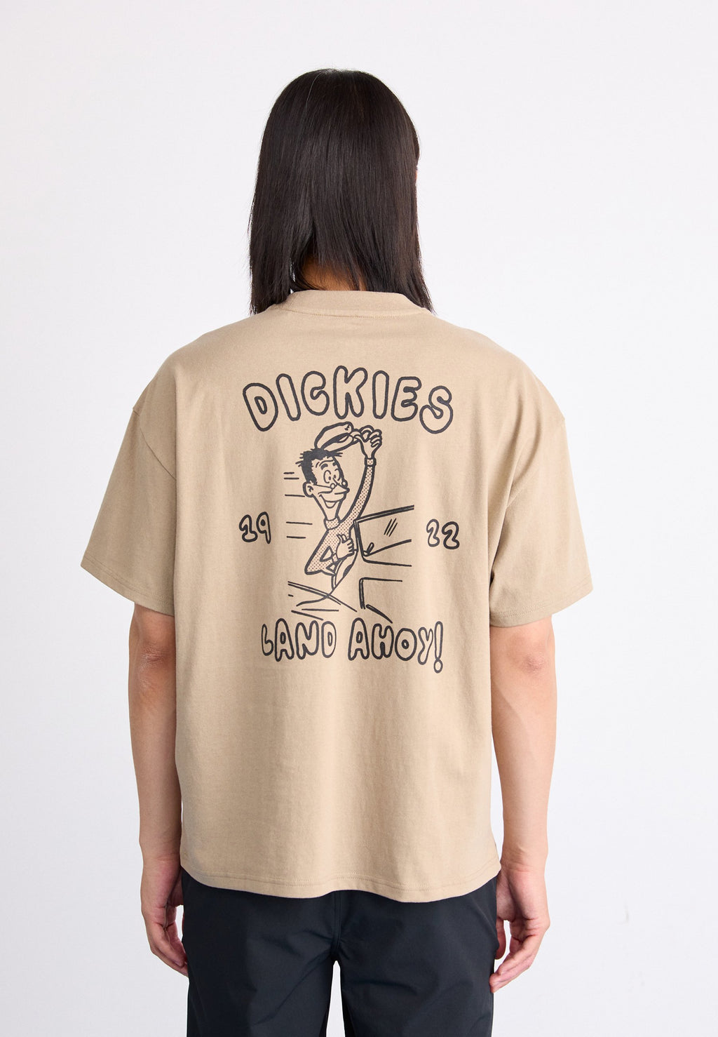 Dickies DECARTUVILLE TEE