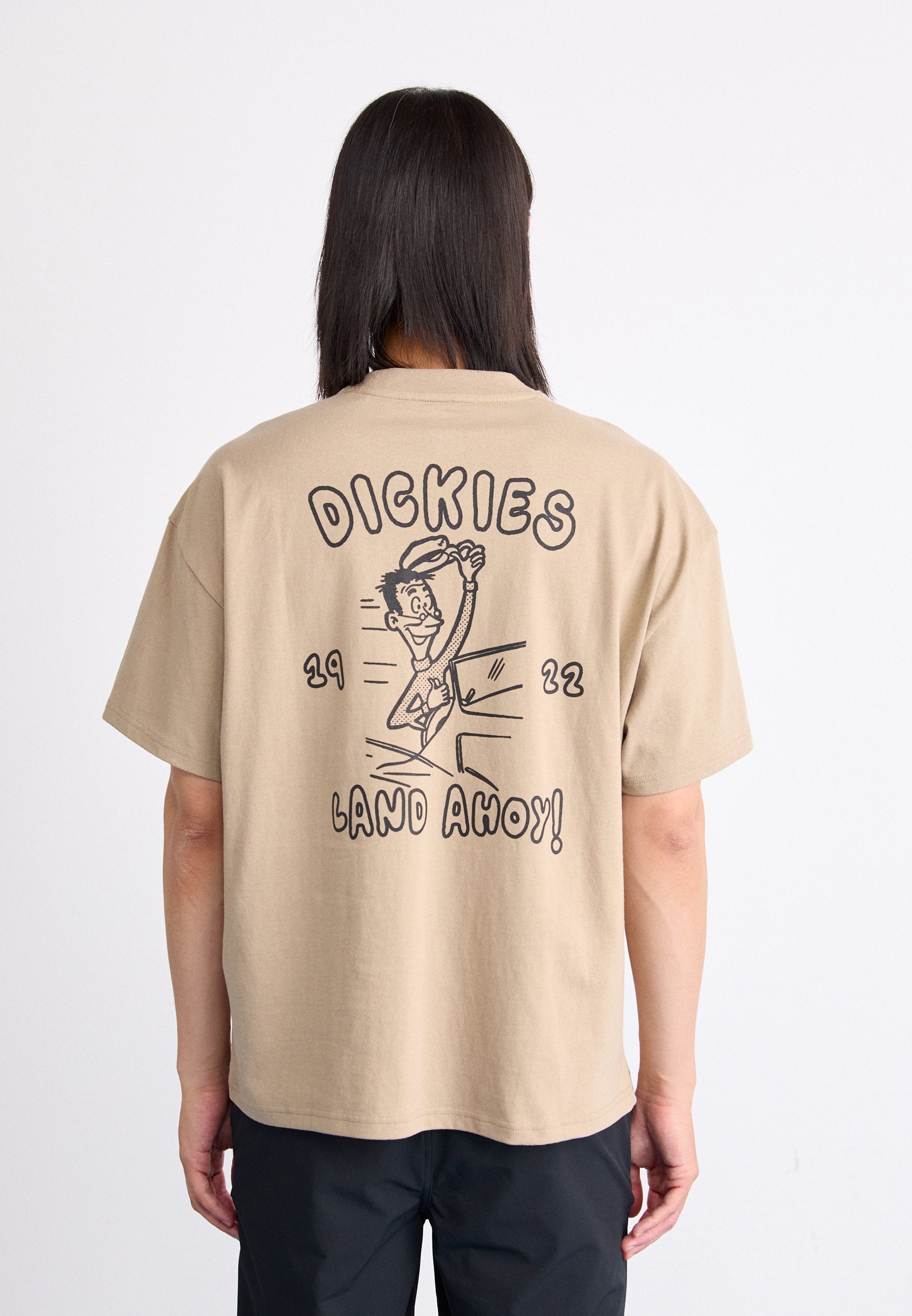Dickies DECARTUVILLE TEE