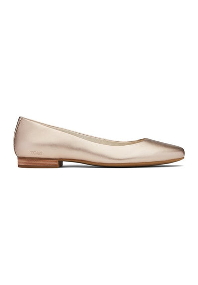 TOMS BRILLA DRCAS