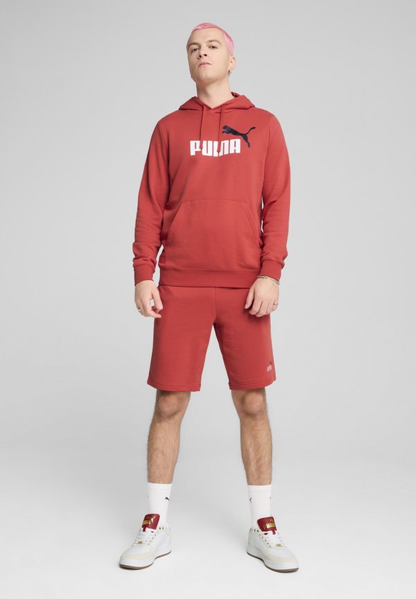 Puma ESSENTIALS NO. 1 LOGO  - Hoodie - red fire