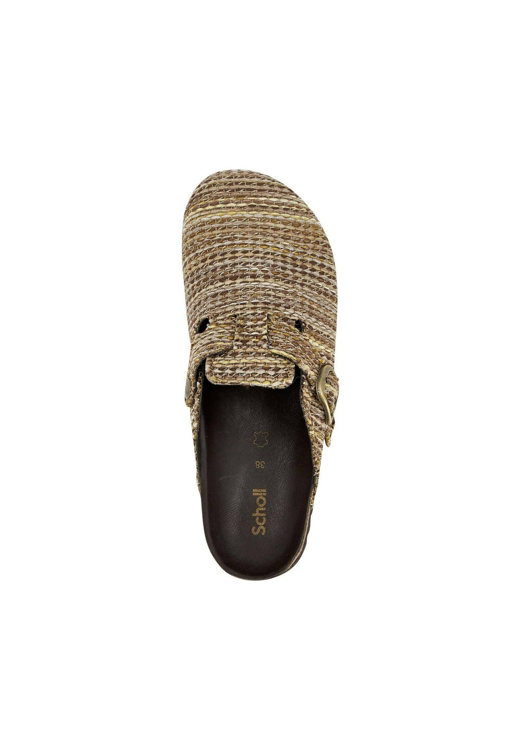 Scholl FAE NEW