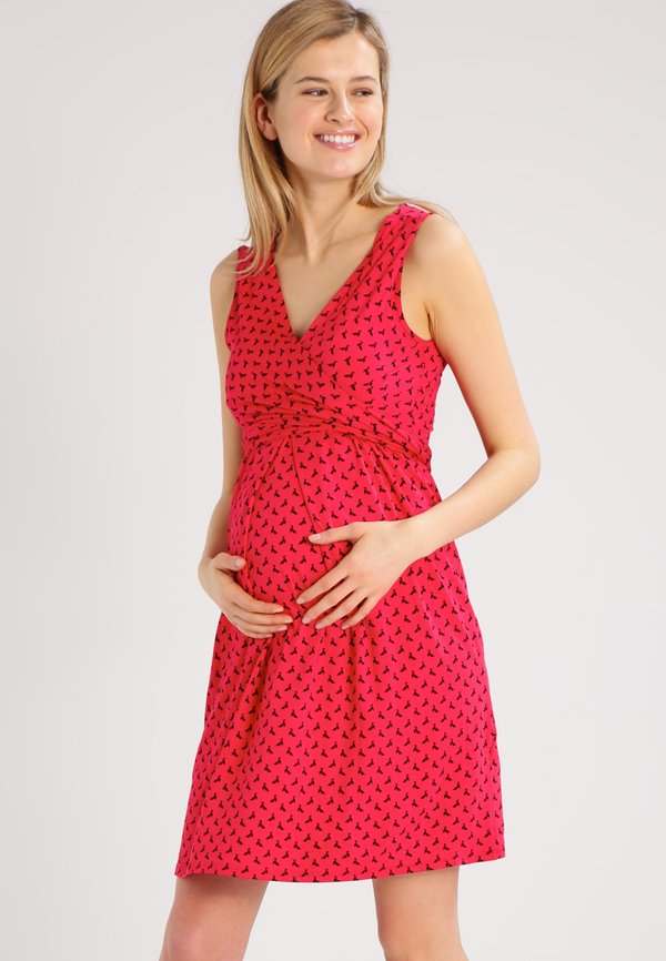 Envie de Fraise AMAYA