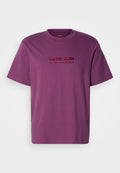 Calvin Klein 20S NY GRAPHIC - Print T-shirt - pale purple