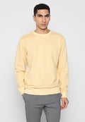Gelbes Baumwoll-Sweatshirt mit Rundhalsausschnitt, langen Ärmeln und gerippten Bündchen. Glatte Textur, keine sichtbaren Muster oder Hardware-Details.