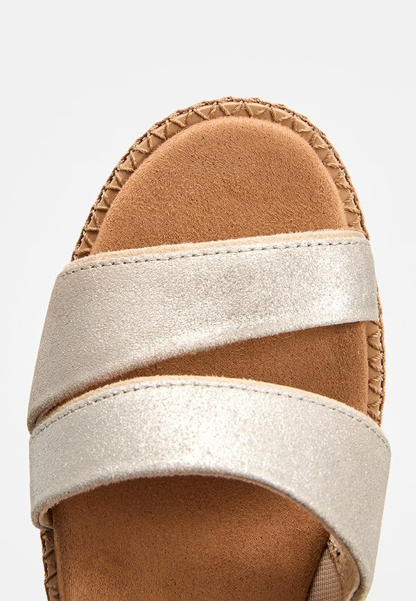 TOMS DARYA