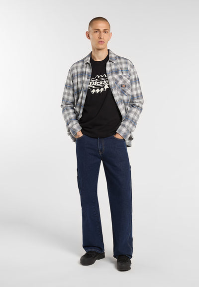 Dickies IRONDALE SS TEE.