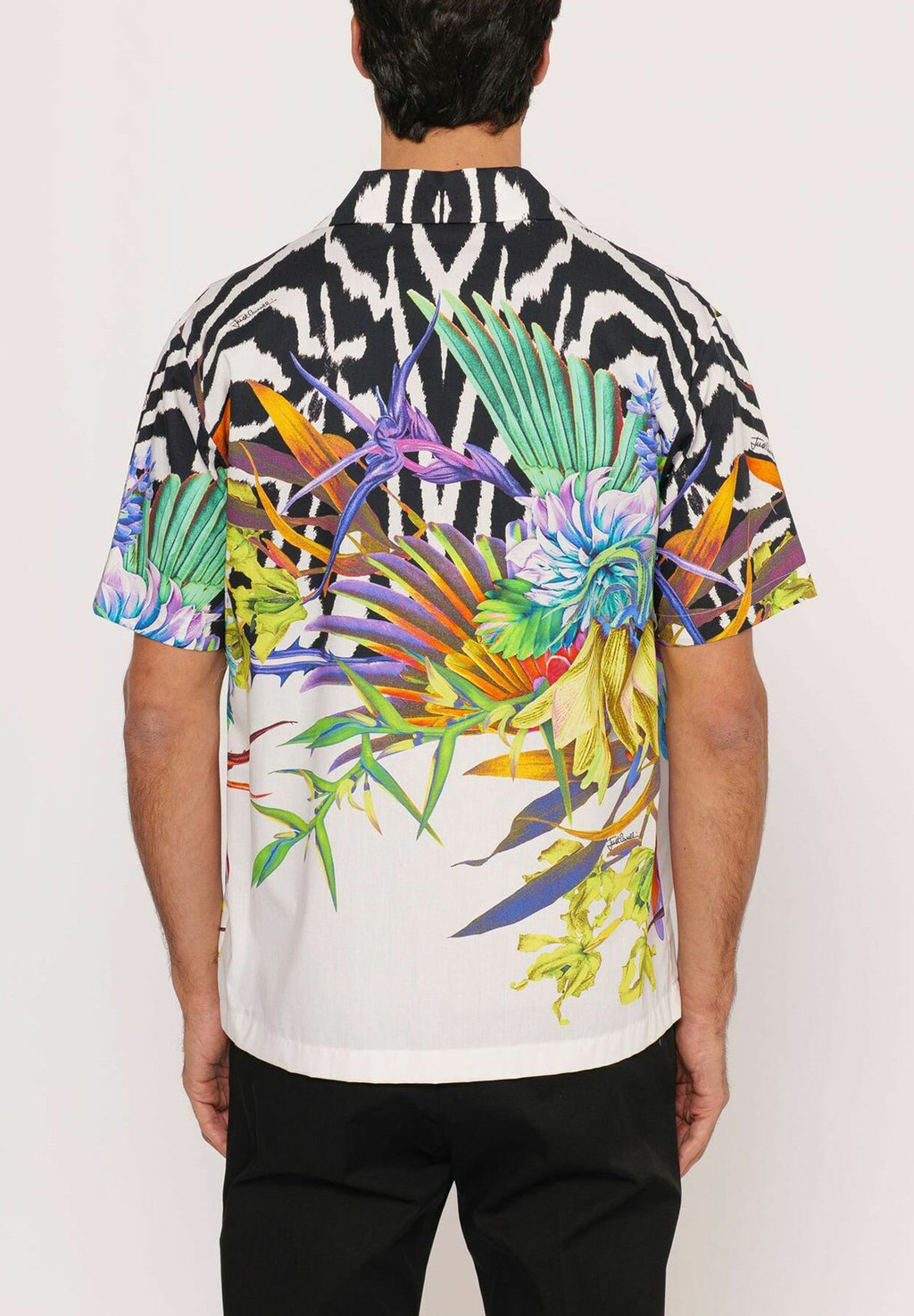 Just Cavalli