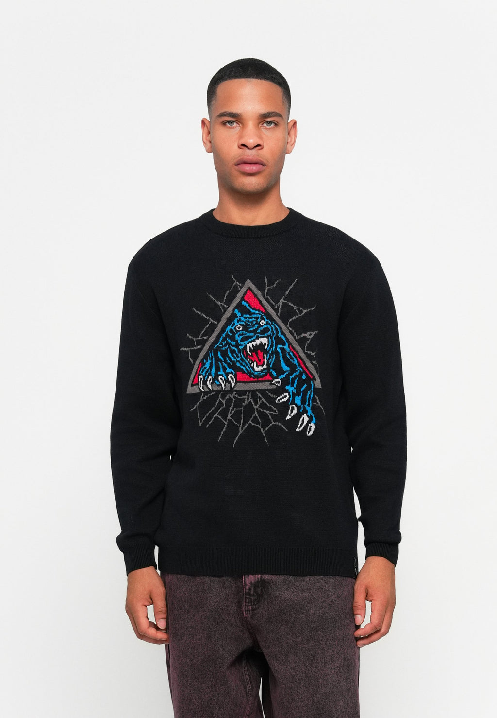 Santa Cruz NATAS PANTHER CREW UNISEX