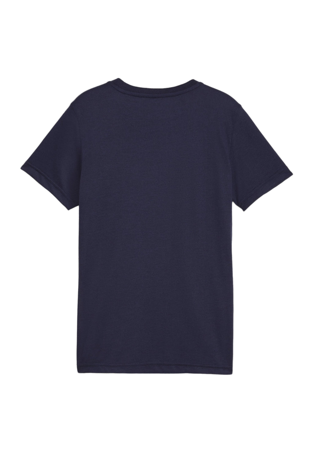 Puma FUSSBALL - TEAMFINAL