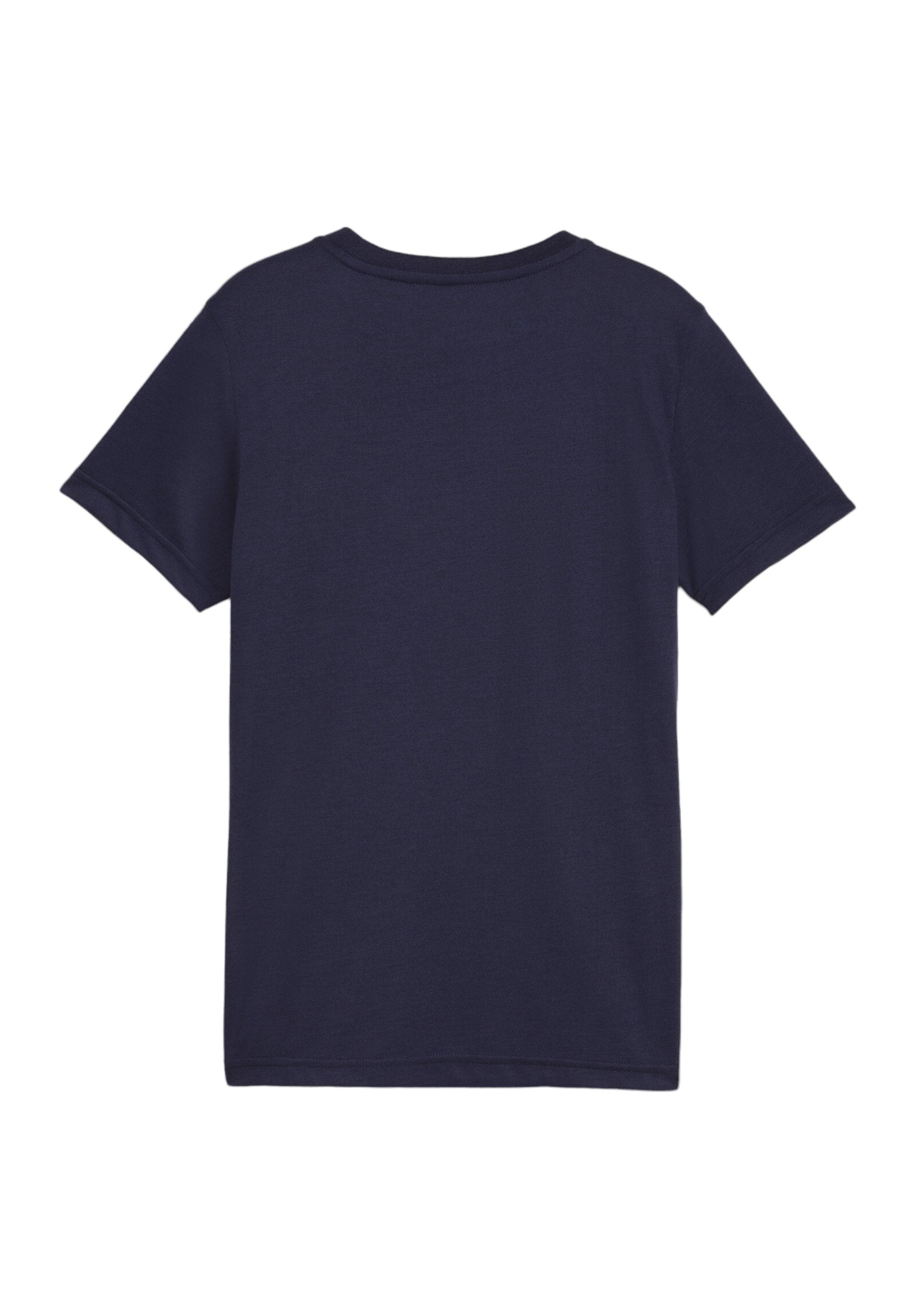 Puma FUSSBALL - TEAMFINAL
