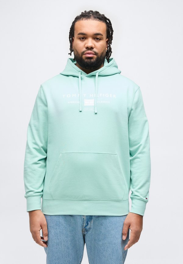 Tommy Hilfiger PLUS LOGO TERRY DRAWSTRING HOODY - Hoodie - crushed mint