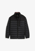 TOM TAILOR TOM TAILOR JACKEN PLUS SIZE - HYBRID STEPPWESTE MIT STEHKRAGEN - Winter jacket - black