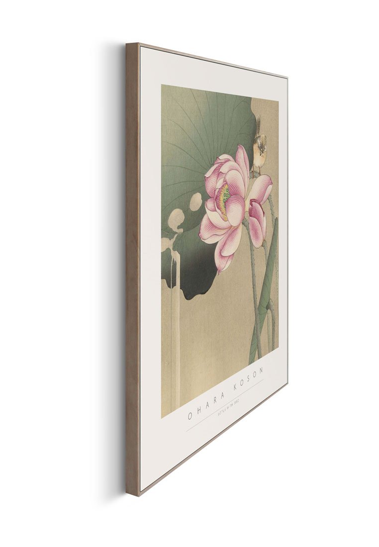 Orange Wallz OHARA KOSON SET