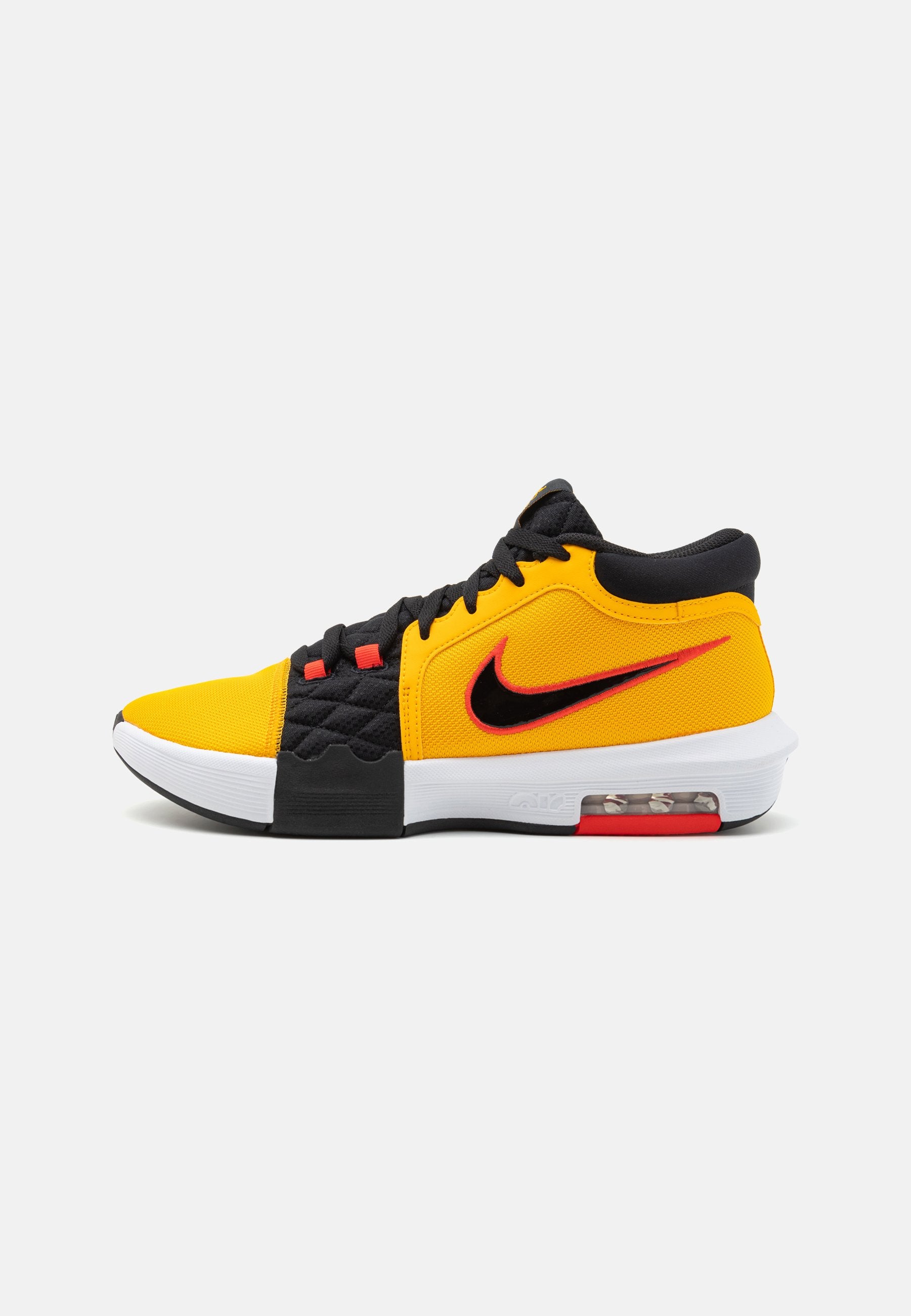 Nike Performance LEBRON WITNESS VIII