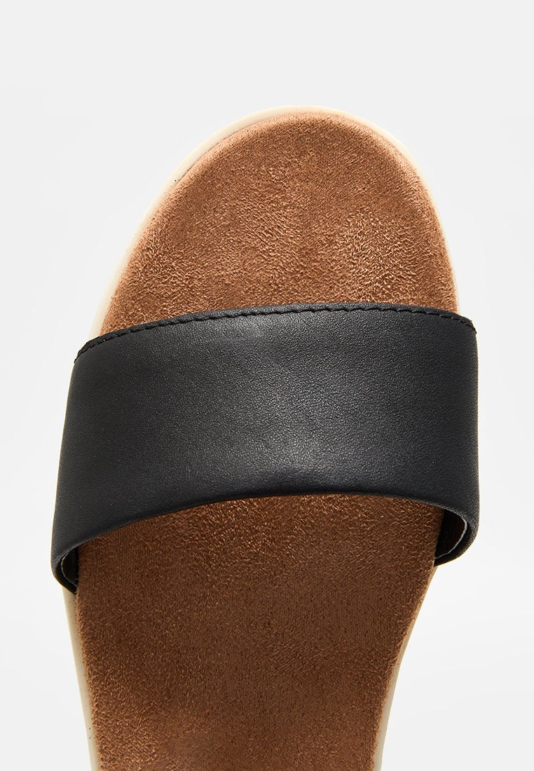 TOMS BRYNN