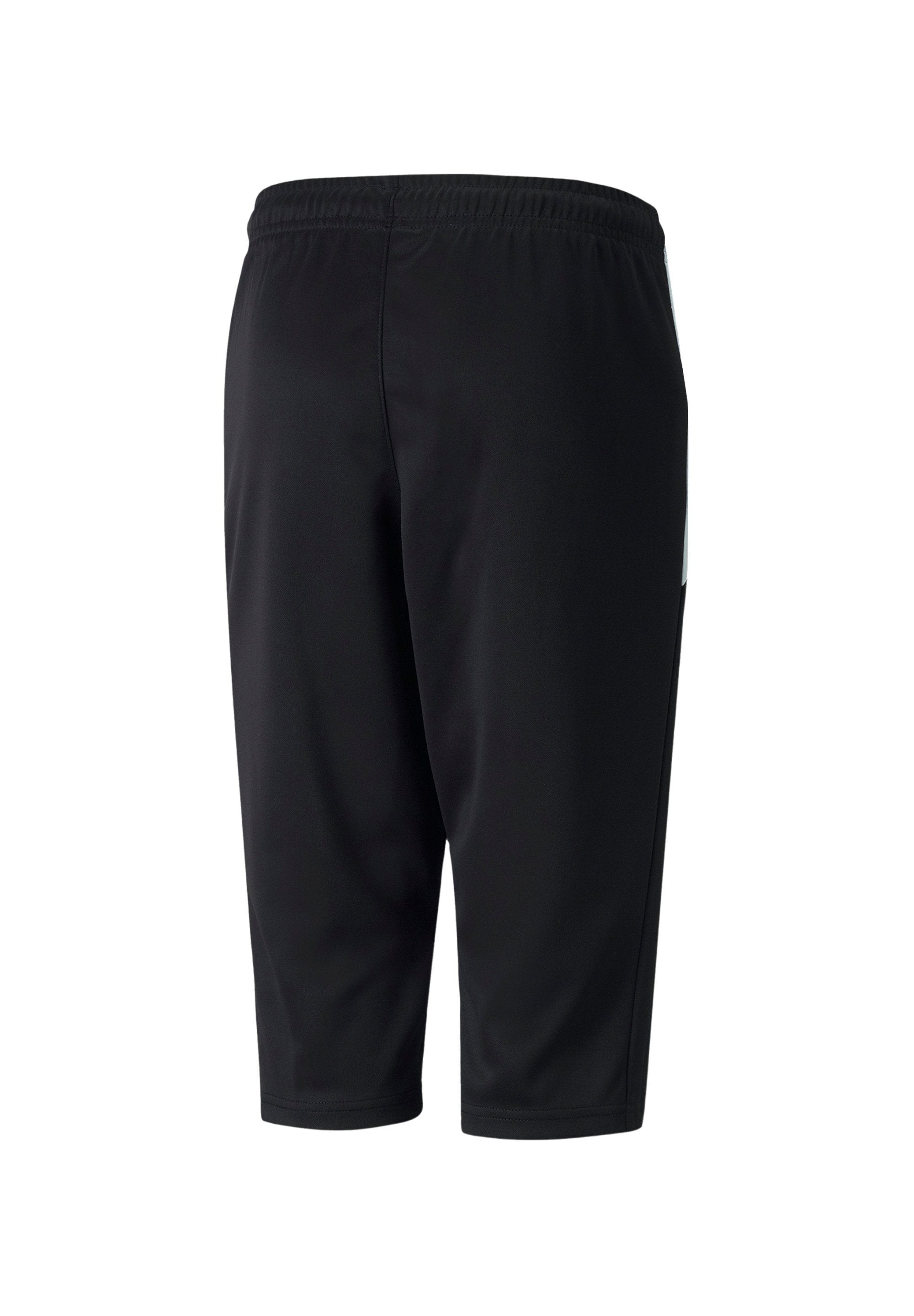 Puma TEAMLIGA