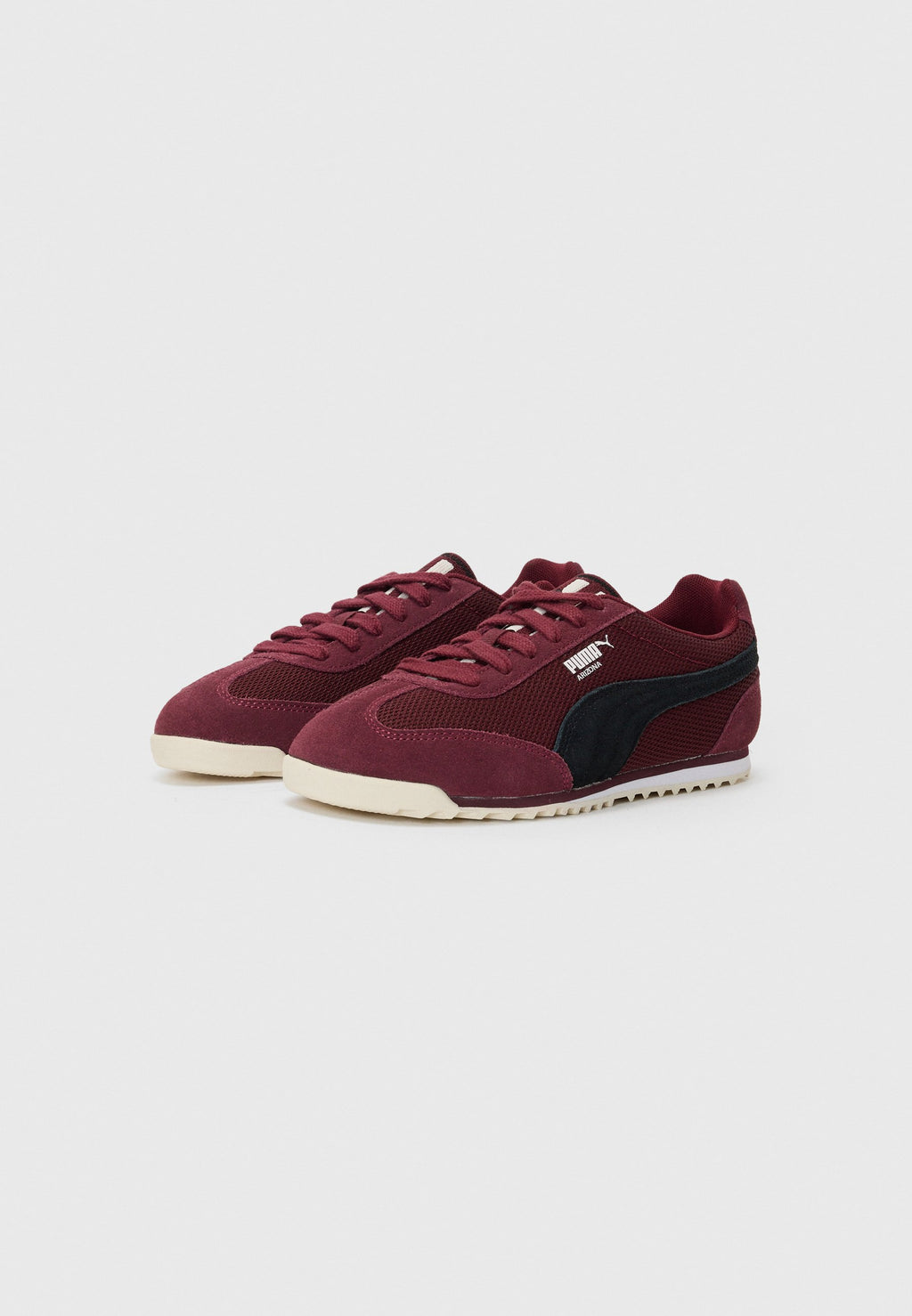 Puma ARIZONA