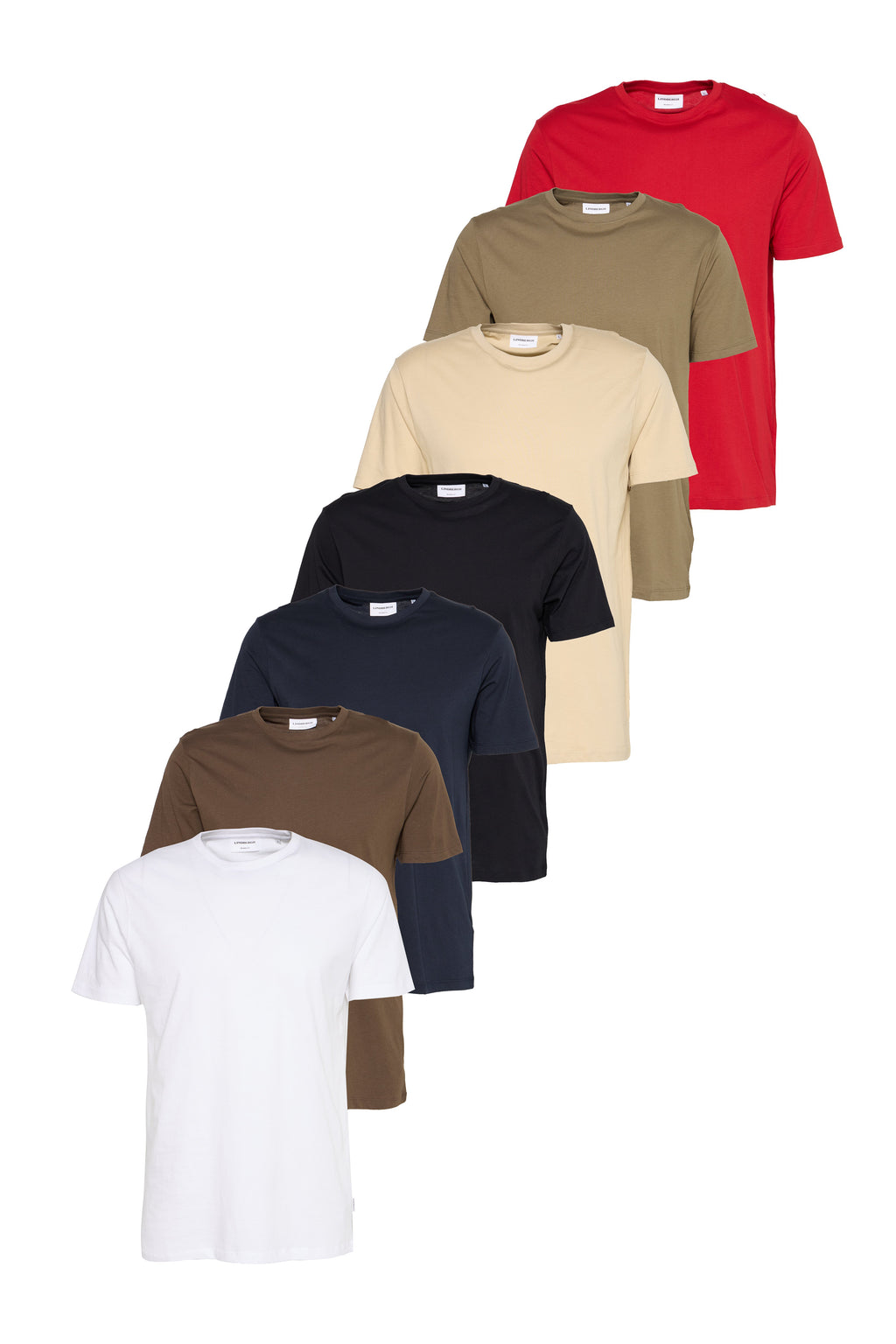 7 PACK Media 1