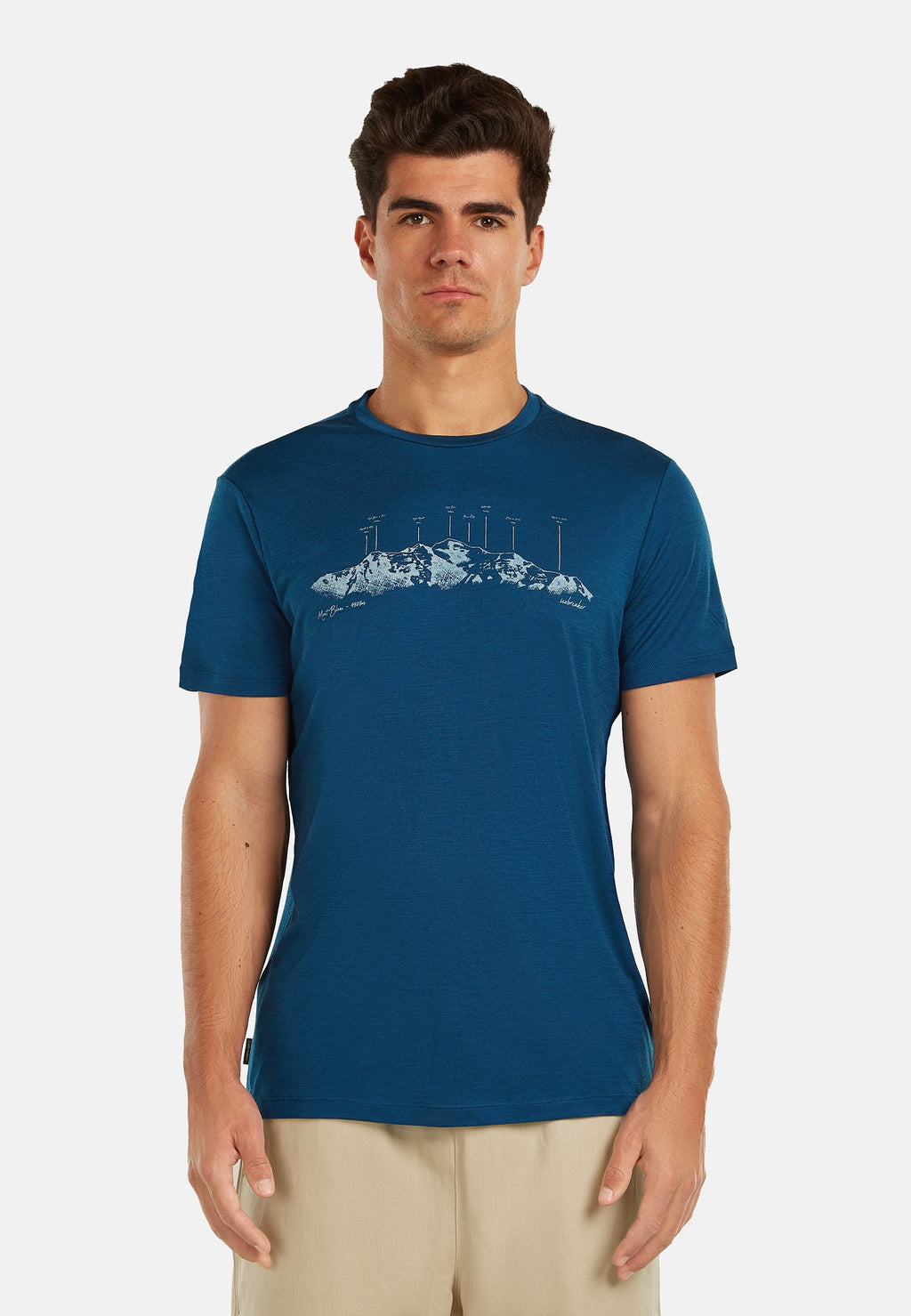 icebreaker M M  150 TL SS TEE MASSIF