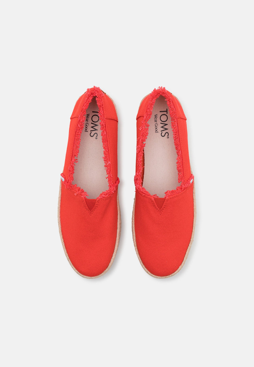 TOMS VALENCIA