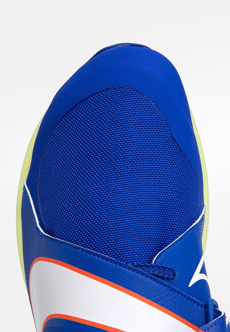 Nike Performance LJ ELITE