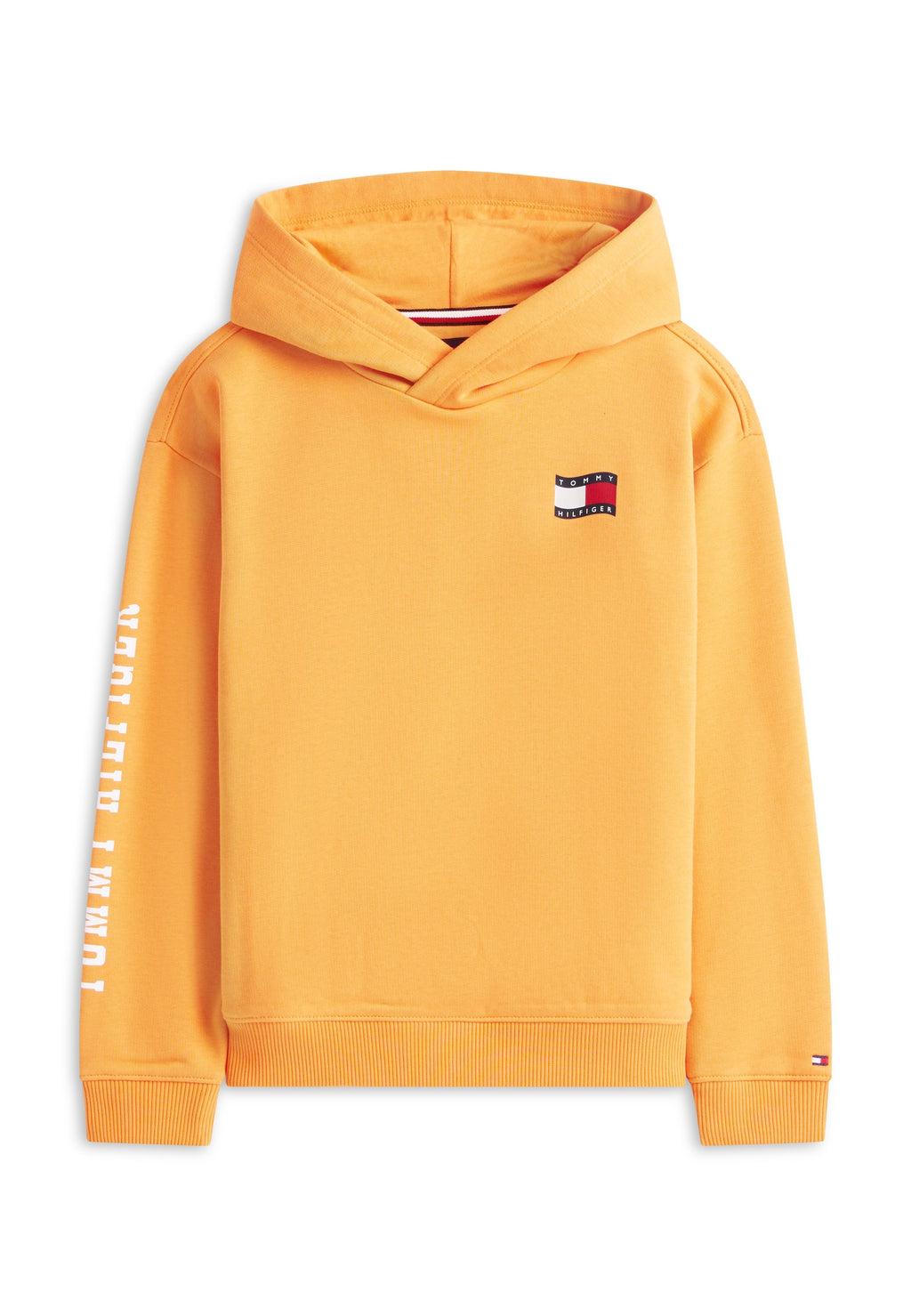 WAVY FLAG TERRY HOODY Media 1