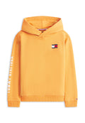 WAVY FLAG TERRY HOODY Media 1