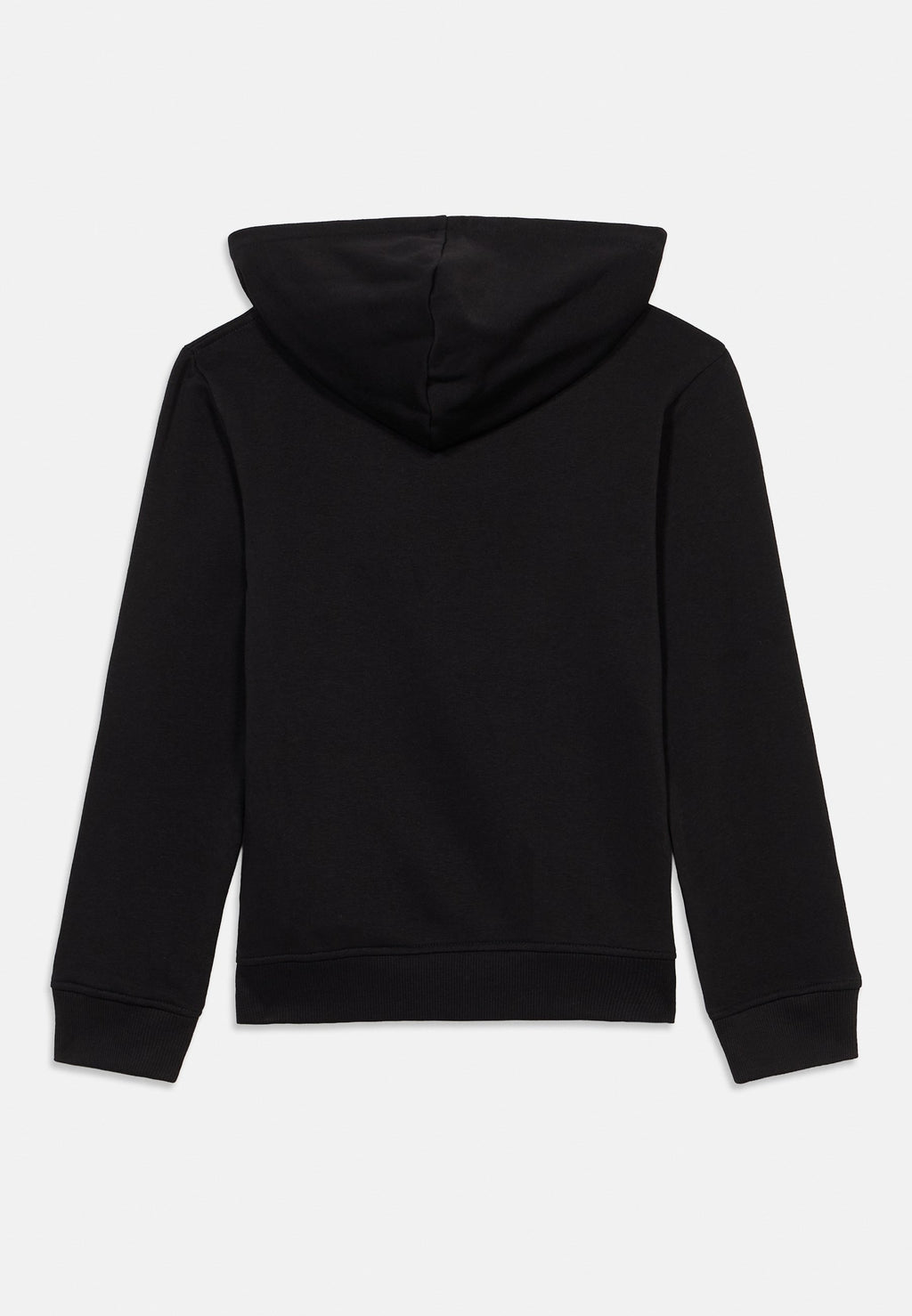 The North Face LIQUID LOGO REGULAR GRAPHIC