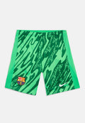 Leuchtend grüne Barcelona-Fußballshorts mit welligem dunkelgrünen Muster, Barcelona-Wappen links, weißes Nike-Logo rechts, flach auf weißem Hintergrund.