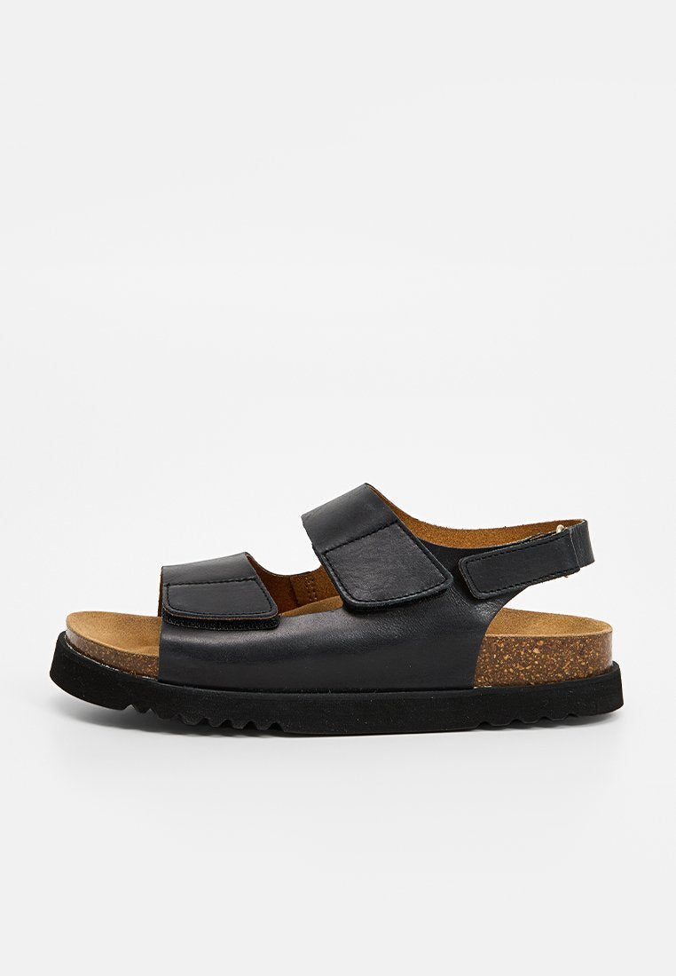 Scholl SIERRA