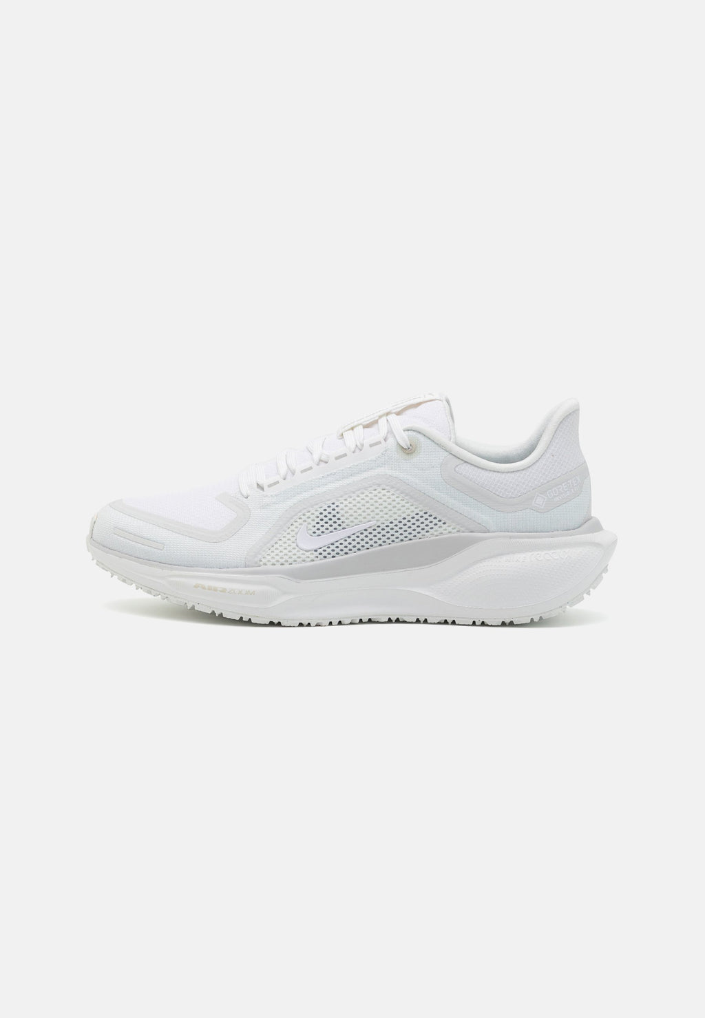 Nike Performance PEGASUS 41 GTX