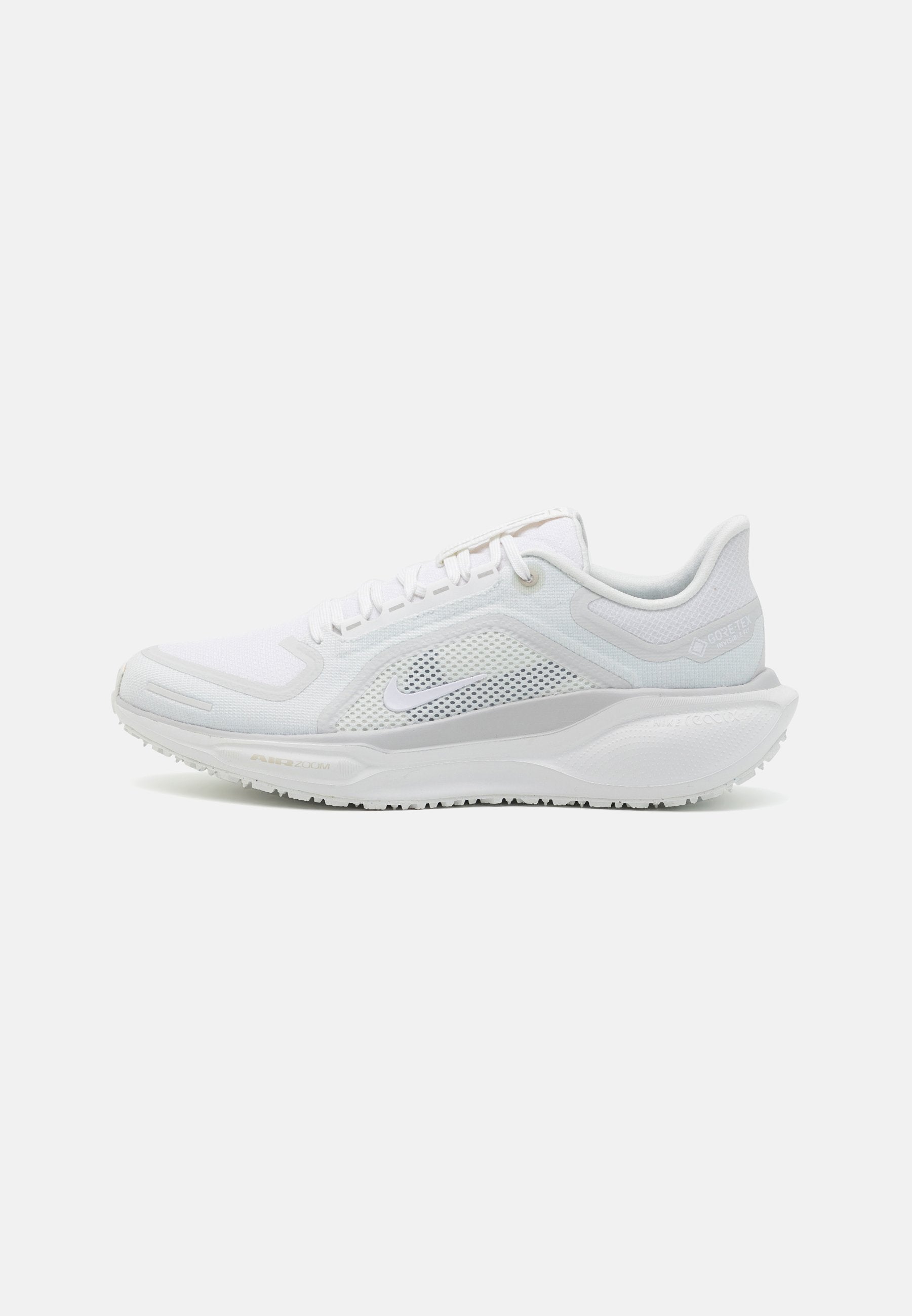 Nike Performance PEGASUS 41 GTX