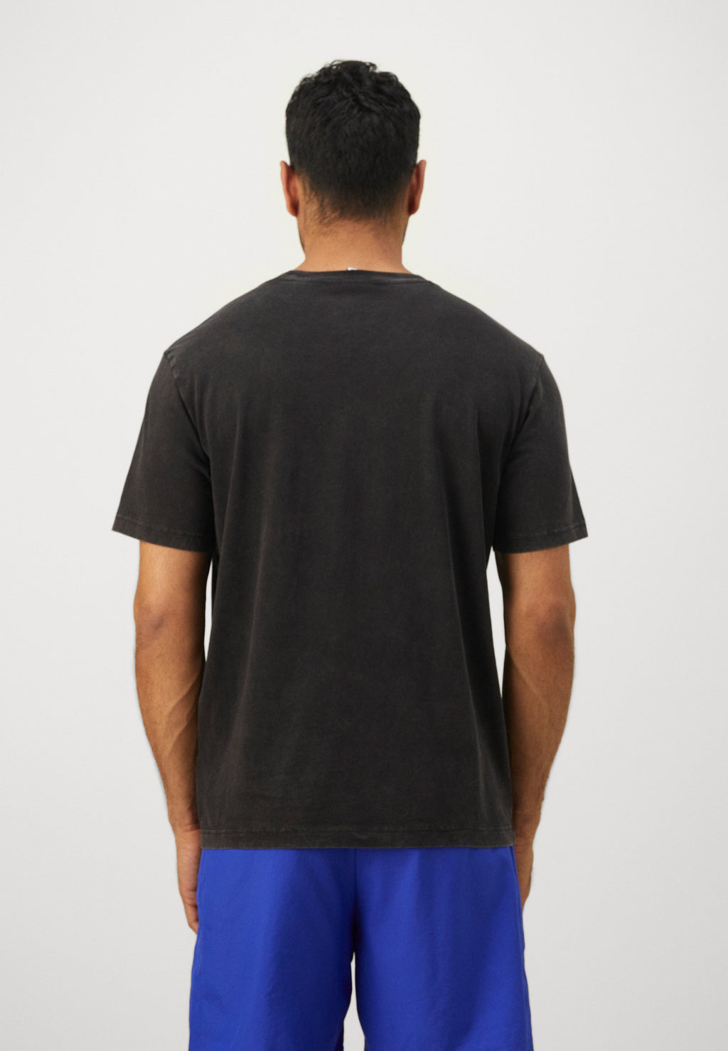 Champion ICONS WASH CREWNECK
