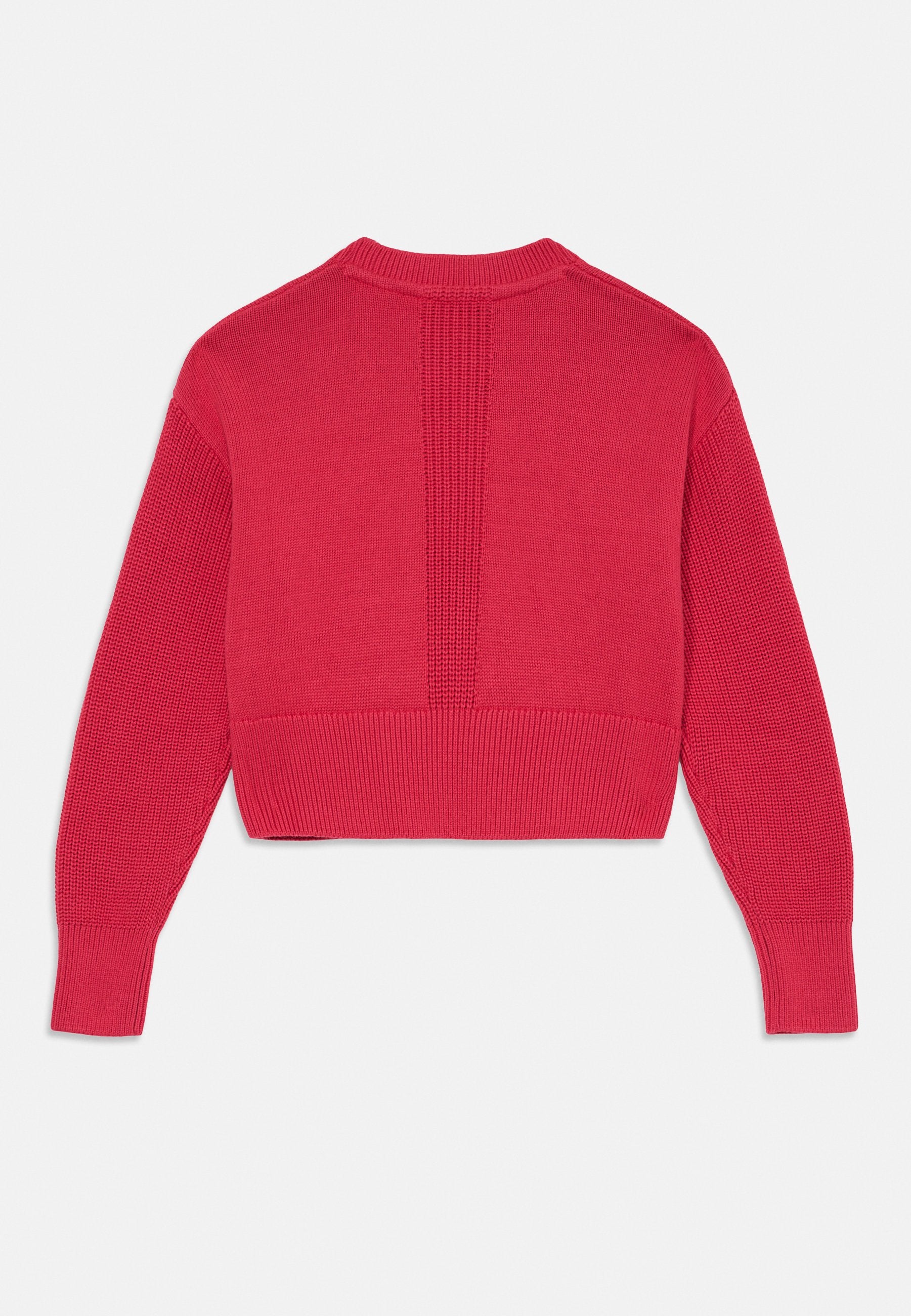 LOGO EMBROIDERY RELAXED CREW NECK JUMPER Media 2