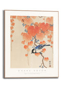 Orange Wallz OHARA KOSON - GREAT TIT ON PAULOWNIA BRANCH