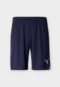 Puma TEAMLIGA26 SHORTS - Sports shorts - navy/white