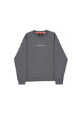 Grauer Pullover aus Textilmaterial; mit Rundhalsausschnitt, langen Ärmeln und einem gestickten Logo auf der Brust.